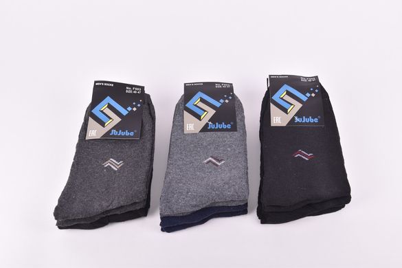 Шкарпетки чоловічі "JuJube" ХЛОПОК (Арт. F503-20) | 12 пар