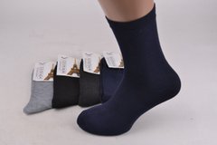 Шкарпетки Чоловічі Бавовняні (Арт. TKA100) | 12 пар