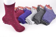 Шкарпетки жіночі "КАШЕМИР" (Арт. PT6002) | 12 пар