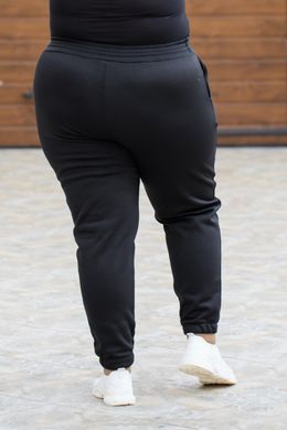 Спортивные штаны женские на флисе БАТАЛ (Арт. KL373/B/Black)