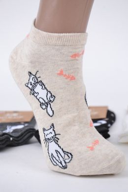 Жіночі шкарпетки "AURA" Cotton (Арт. ND5987/35-38) | 5 пар