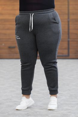 Спортивні штани жіночі на флісі БАТАЛ (Арт. KL377/B/Graphite)