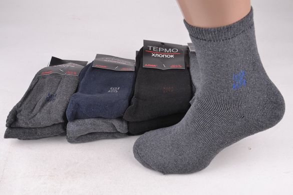 Шкарпетки чоловічі "Алія" бавовна МАХРА (Aрт. ALA18 +1) | 12 пар