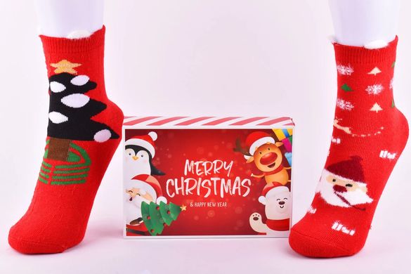 Носки Женские Махровые "Merry Christmas" в подарочной упаковке (Aрт. Y105/5) | 1 компл.