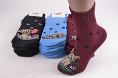 Жіночі шкарпетки "Житомир" МАХРА бавовна (AK828) | 12 пар