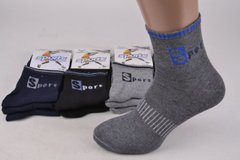Шкарпетки Чоловічі ХЛОПОК "Sports" (Арт. TKY089) | 12 пар