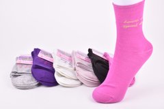 Шкарпетки жіночі "Золото" ХЛОПОК (Арт. C276) | 12 пар