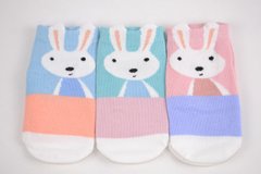Шкарпетки дитячі з малюнком "ХЛОПОК" (Арт. D358-1/11/S) | 12 пар