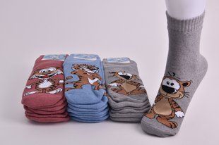 Носки женские ТИГРЯТА "Житомир" МАХРА (Арт. AK317) | 12 пар