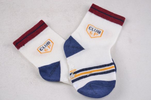 Дитячі шкарпетки на хлопчика "Фенна" ХЛОПОК (FEC005/12-18) | 12 пар