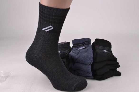 Шкарпетки чоловічі "ЖИТОМИР" Махрова стопа (Арт. OK207/1/27-29) | 12 пар