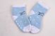 Дитячі шкарпетки-малютка на хлопчика МАХРА (FE5055-1/16-24) | 12 пар