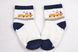 Дитячі шкарпетки на хлопчика МАХРА (FE5055-1/0-8) | 12 пар