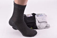 Шкарпетки чоловічі "Житомир" COTTON Сітка (Арт. OAM291-2/29) | 12 пар