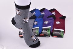 Шкарпетки жіночі "Антибактеріальні" МАХРА БАМБУК (Арт. OAM237) | 12 пар
