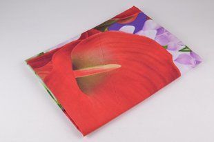 Простирадло двоспальне (Арт. AN205/247)