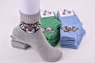 Носки детские на мальчика "ЖИТОМИР" МАХРА ХЛОПОК (Арт. AK539/18-20) | 12 пар