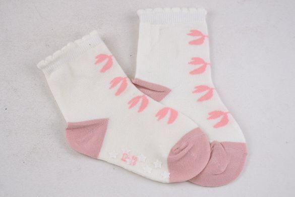 Детские носочки на девочку "Фенна" ХЛОПОК (FEC004/0-6) | 12 пар