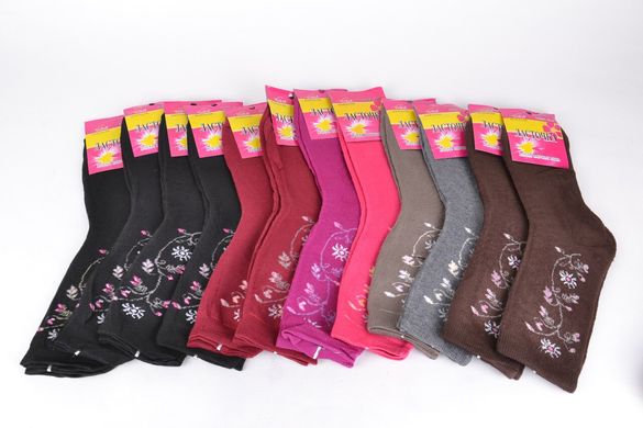 Шкарпетки жіночі "МАХРА" з візерунком нар. 37-41 (C491) | 12 пар