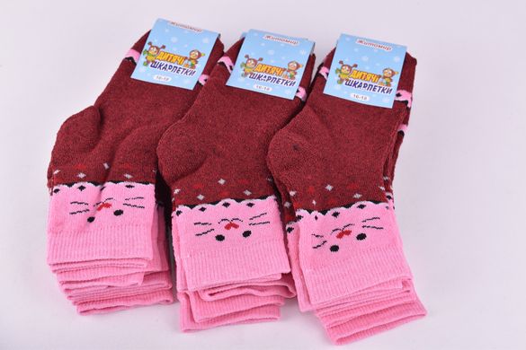 Шкарпетки дитячі на дівчинку "Житомир" Махра бавовна (Арт. OAM331/1) | 12 пар