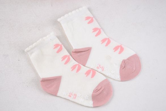 Дитячі шкарпетки на дівчинку "Фенна" ХЛОПОК (FEC004/0-6) | 12 пар