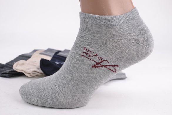 Мужские носки заниженные "AURA" Cotton (Арт. FD3388/39-42) | 5 пар