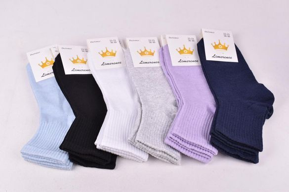 Жіночі шкарпетки "ЖИТОМИР" COTTON (AK2065) | 12 пар