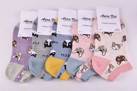 Шкарпетки жіночі занижені "AURA" COTTON (Арт. NDC6020/35-38) | 5 пар