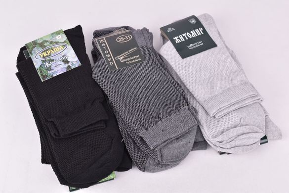 Носки мужские "Житомир" COTTON Сетка (Арт. OAM291-2/29) | 12 пар