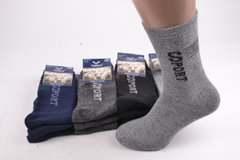 Чоловічі шкарпетки "Шерсть Ангора" (арт. TKA7110-4) | 12 пар