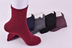 Шкарпетки жіночі однотонні "Фенна" бавовна (Арт. FEB102-3) | 12 пар