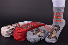 Шкарпетки жіночі з малюнком "ЖИТОМИР" COTTON МАХРА (Арт. AK911) | 12 пар