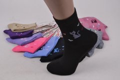 Дитячі шкарпетки на дівчинку "КОРОНА" ХЛОПОК (C3135/30-34) | 12 пар