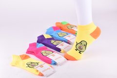 Шкарпетки жіночі занижені "Наталі" ХЛОПОК (Арт. TKB710-1) | 10 пар