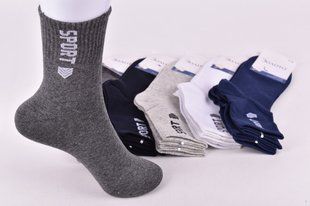 Носки детские / подростковые на мальчика "Золото" COTTON (Арт. M303-2/31-35) | 10 пар