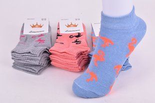 Носки женские заниженные "ЖИТОМИР" COTTON (Арт. AK810) | 12 пар