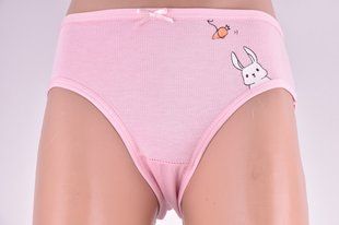 Трусы детские на девочку COTTON (Арт. SL1250/XL) | 10 шт.