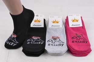 Жіночі шкарпетки "ЖИТОМИР" COTTON (AK806) | 12 пар
