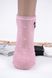 Женские носки заниженные "AURA" Cotton (NDX5859/38-41) | 5 пар