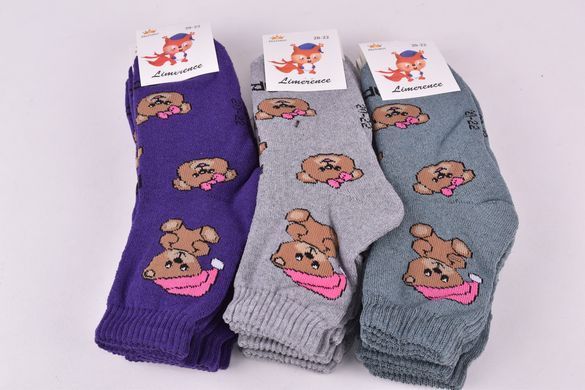 Носки детские на девочку "ЖИТОМИР" МАХРА COTTON (Арт. AK555/22-24) | 12 пар