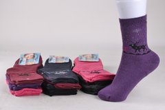Шкарпетки жіночі "Фенна" МАХРА Бавовна (Арт. FE8312-2) | 12 пар