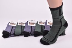 Шкарпетки чоловічі Трекінгові (Арт. ME41701) | 12 пар