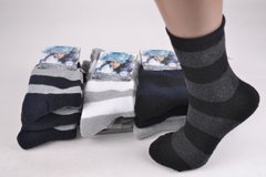 Жіночі шкарпетки "Дукат" Махра бавовна (арт. PTM1850/1) | 12 пар