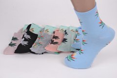 Жіночі шкарпетки "Золото" ХЛОПОК (Арт. C553-2) | 12 пар