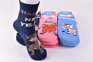 Носки женские "ЖИТОМИР" COTTON МАХРА (Арт. AK305) | 12 пар