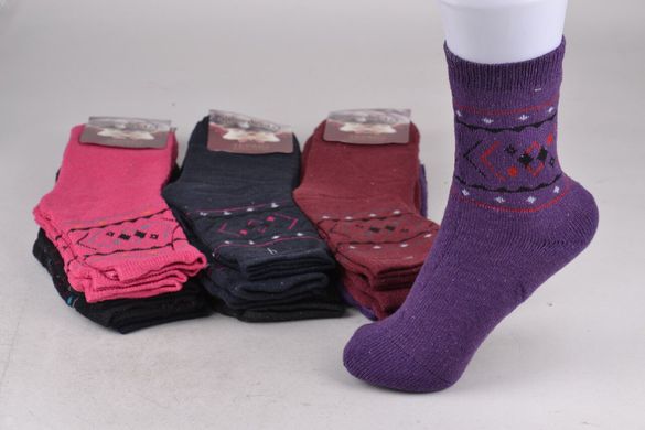 Шкарпетки жіночі "Фенна" МАХРА Бавовна (Арт. FE8311-3) | 12 пар