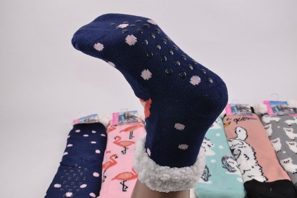 Жіночі шкарпетки на хутрі з гальмами (Арт. HD2020) | 12 пар