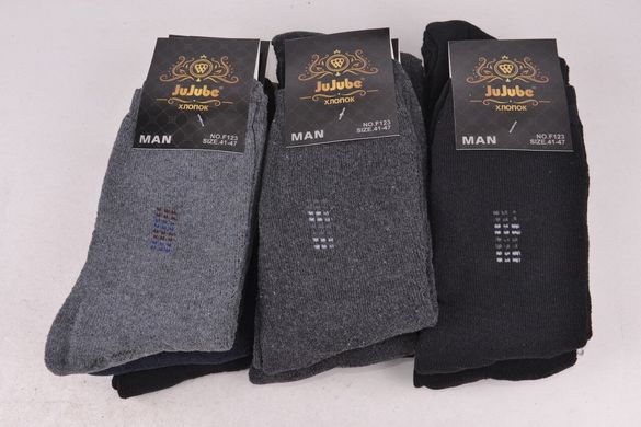 Шкарпетки чоловічі МАХРА нар. 41-47 (арт. F123-9) | 12 пар