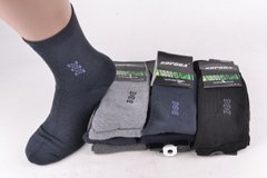 Мужские носки "КОРОНА" Бамбук (Арт. LKA1103) | 12 пар