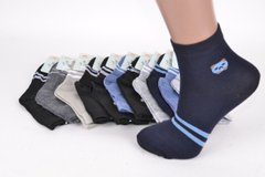 Дитячі шкарпетки на хлопчика "КОРОНА" ХЛОПОК (LKC3127/26-31) | 12 пар